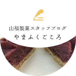 スタッフブログ